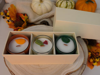 Fall | Gift | Gift Set | Elan Vital Studio | Candles | Soaps | Hand Poured Candles | Candle Maker | Soap Maker