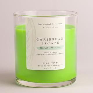Coconut | Lime | Caribbean | Elan Vital Studio | Candles | Soaps | Hand Poured Candles | Candle Maker | Soap Maker