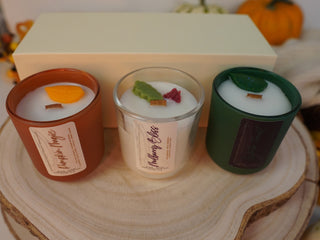 Fall | Gift | Gift Set | Elan Vital Studio | Candles | Soaps | Hand Poured Candles | Candle Maker | Soap Maker